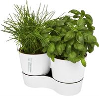 DOPPIO VASO DA CUCINA